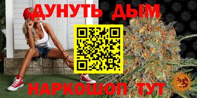 шишки Ставрополь
