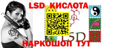 шишки Ставрополь
