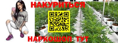 шишки Ставрополь