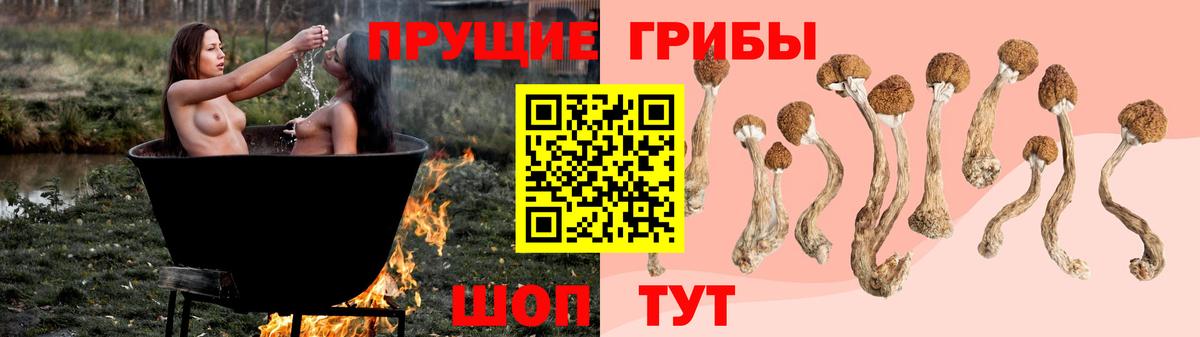 Галлюциногенные грибы Psilocybe  Псилоцибиновые грибы Psilocybine cubensis  Вход с VPN  Ногинск 